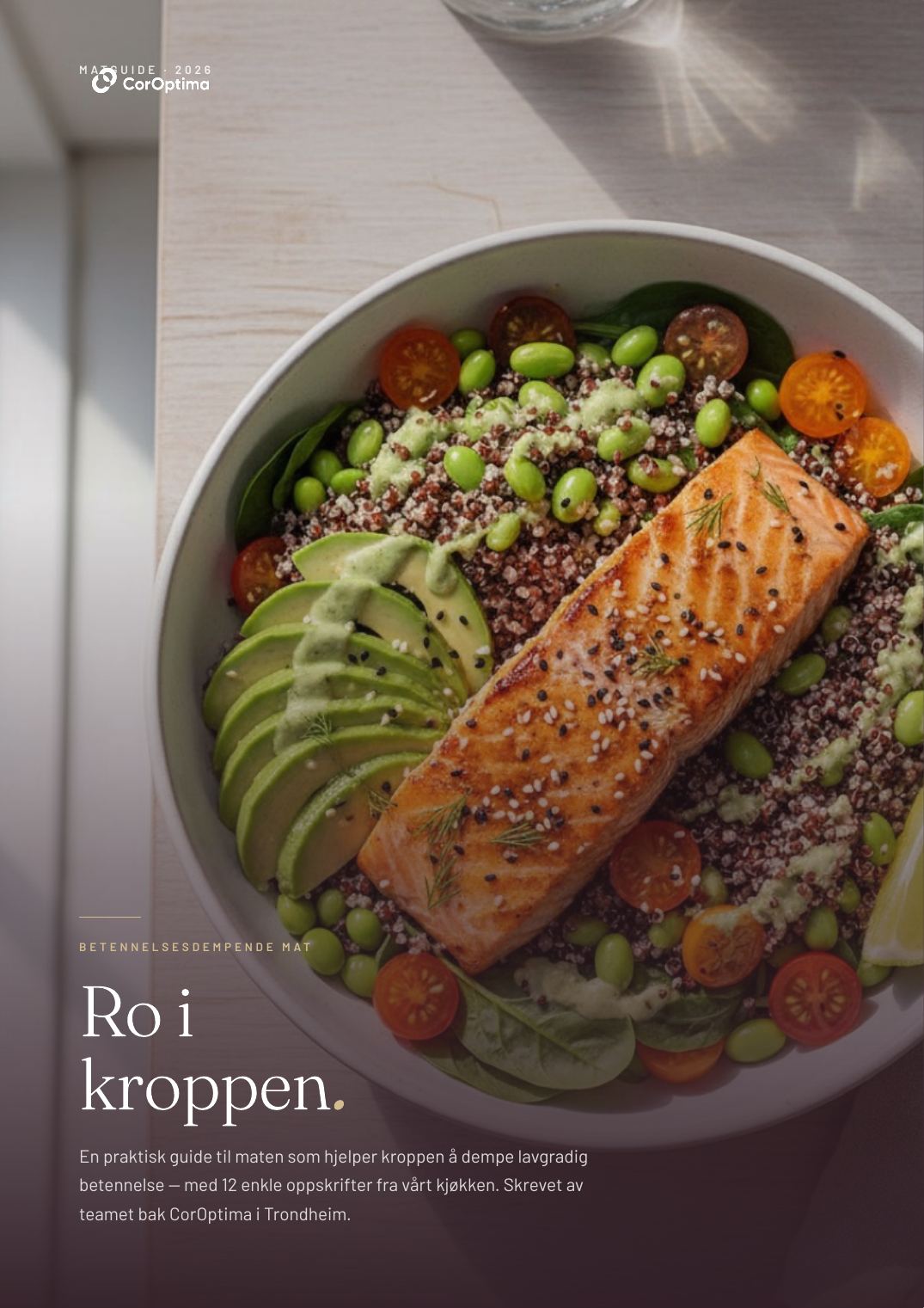 Forsiden av e-boka Ro i kroppen